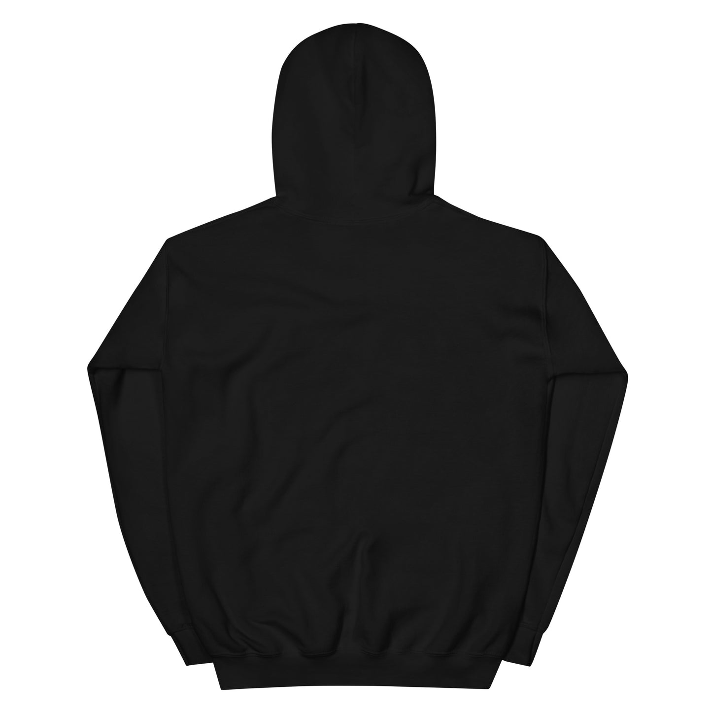 1 Down-5 Up Freebooter Unisex Hoodie